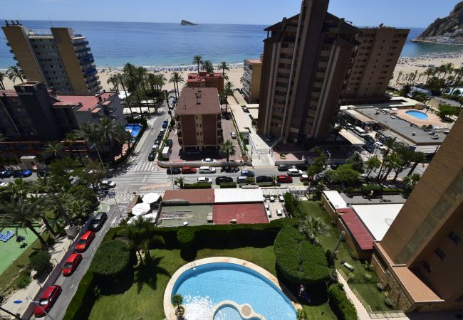 Apartamento en Benidorm - CASTELMAR (1 DORMITORIO) Apartamento en Benidorm - CASTELMAR (1 DORMITORIO)