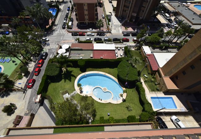 Apartamento en Benidorm - CASTELMAR (1 DORMITORIO) Apartamento en Benidorm - CASTELMAR (1 DORMITORIO)