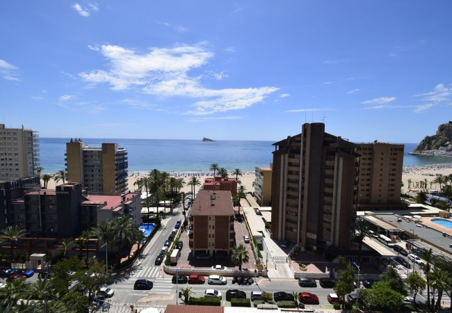 Apartamento en Benidorm - CASTELMAR (1 DORMITORIO) Apartamento en Benidorm - CASTELMAR (1 DORMITORIO)