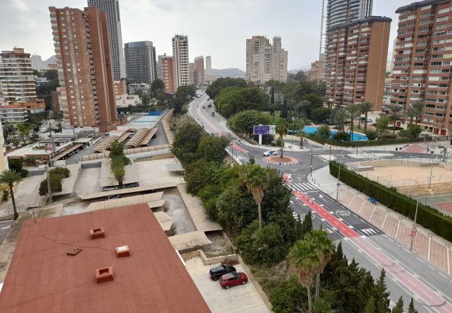 Apartamento en Benidorm - CASTELMAR (1 DORMITORIO) Apartamento en Benidorm - CASTELMAR (1 DORMITORIO)