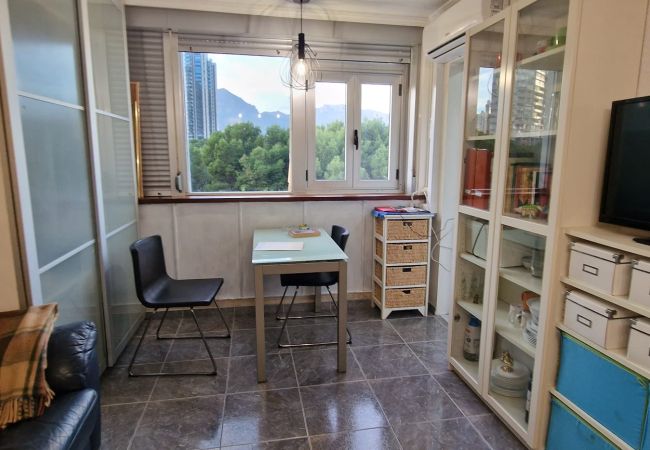 Estudio en Benidorm - SERVIHOTEL (ESTUDIO)