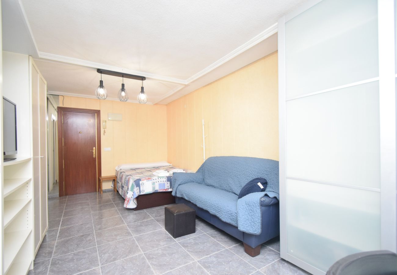 Estudio en Benidorm - SERVIHOTEL (ESTUDIO)