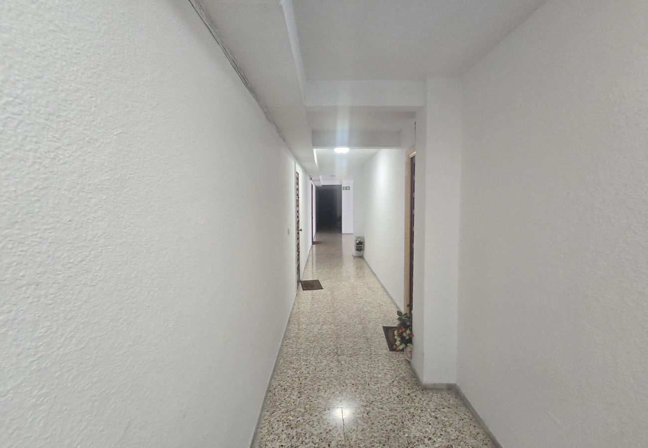Estudio en Benidorm - SERVIHOTEL (ESTUDIO)