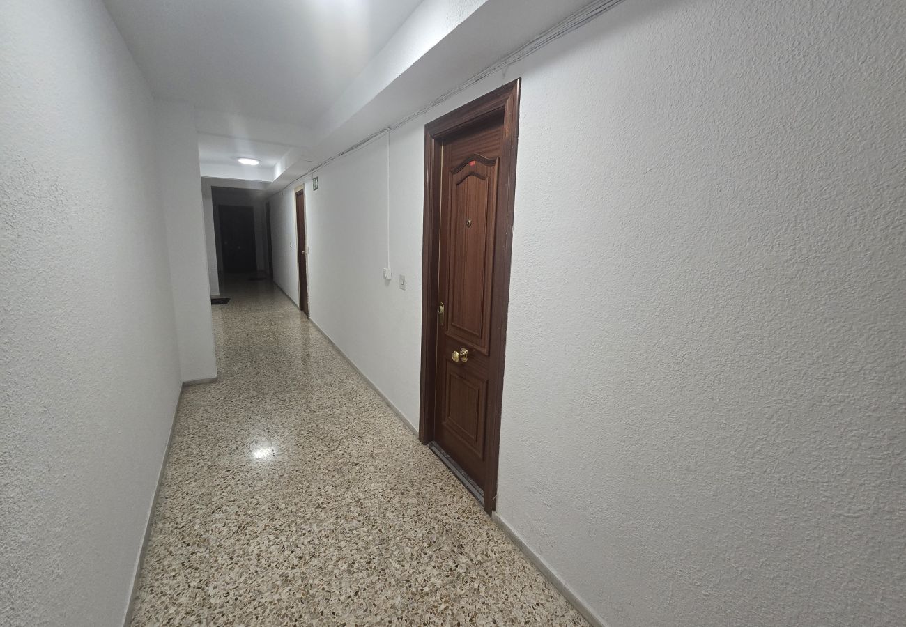 Estudio en Benidorm - SERVIHOTEL (ESTUDIO)