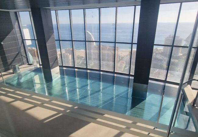 Apartamento en Benidorm - BENIDORM BEACH (2 DORMITORIOS) Apartamento en Benidorm - BENIDORM BEACH (2 DORMITORIOS)