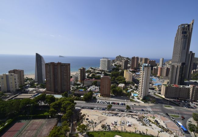 Apartamento en Benidorm - BENIDORM BEACH (2 DORMITORIOS) Apartamento en Benidorm - BENIDORM BEACH (2 DORMITORIOS)