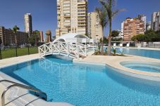 Apartamento en Benidorm - BENIDORM BEACH (2 DORMITORIOS)