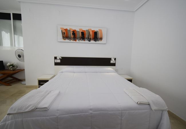 Apartamento en Benidorm - PINTOR ROSALES  (3 DORMITORIOS) Apartamento en Benidorm - PINTOR ROSALES  (3 DORMITORIOS)