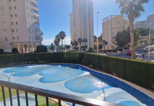 Apartamento en Benidorm - PINTOR ROSALES  (3 DORMITORIOS) Apartamento en Benidorm - PINTOR ROSALES  (3 DORMITORIOS)