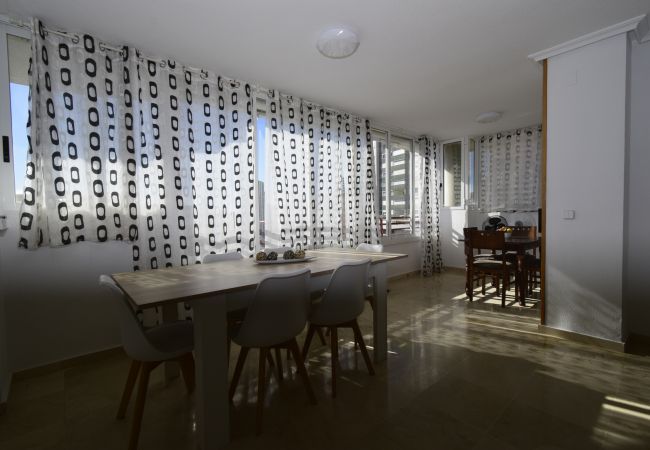 Apartamento en Benidorm - PINTOR ROSALES  (3 DORMITORIOS) Apartamento en Benidorm - PINTOR ROSALES  (3 DORMITORIOS)