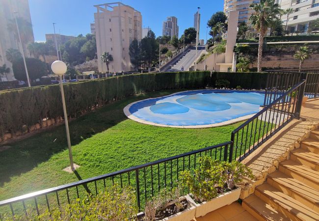 Apartamento en Benidorm - PINTOR ROSALES  (3 DORMITORIOS)