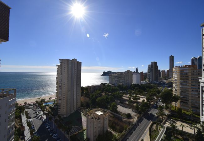 Apartamento en Benidorm - PINTOR ROSALES  (3 DORMITORIOS) Apartamento en Benidorm - PINTOR ROSALES  (3 DORMITORIOS)