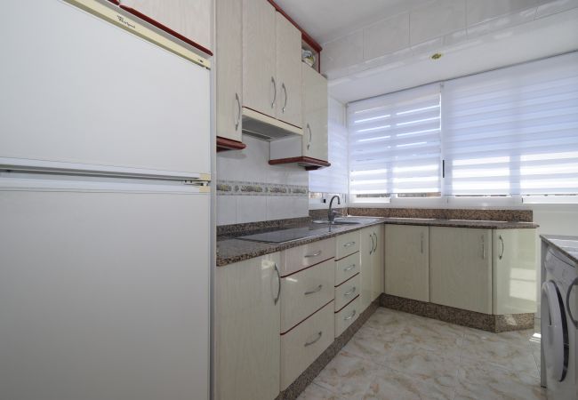 Apartamento en Benidorm - ALBATROS (1 DORMITORIO) Apartamento en Benidorm - ALBATROS (1 DORMITORIO)