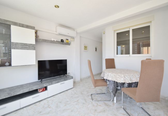 Apartamento en Benidorm - ALBATROS (1 DORMITORIO) Apartamento en Benidorm - ALBATROS (1 DORMITORIO)