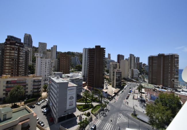 Apartamento en Benidorm - ALBATROS (1 DORMITORIO) Apartamento en Benidorm - ALBATROS (1 DORMITORIO)