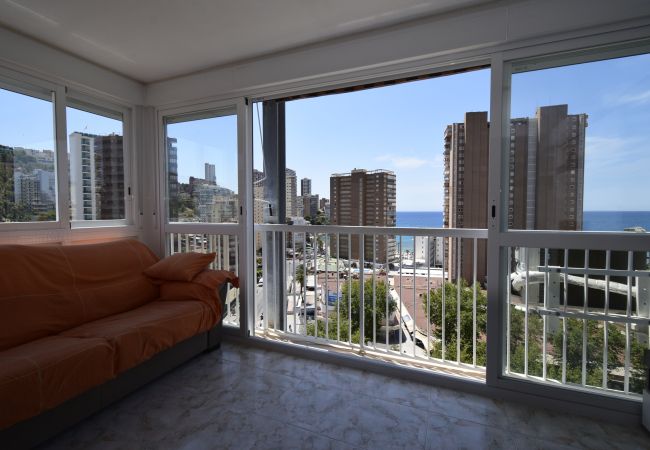 Apartamento en Benidorm - ALBATROS (1 DORMITORIO) Apartamento en Benidorm - ALBATROS (1 DORMITORIO)