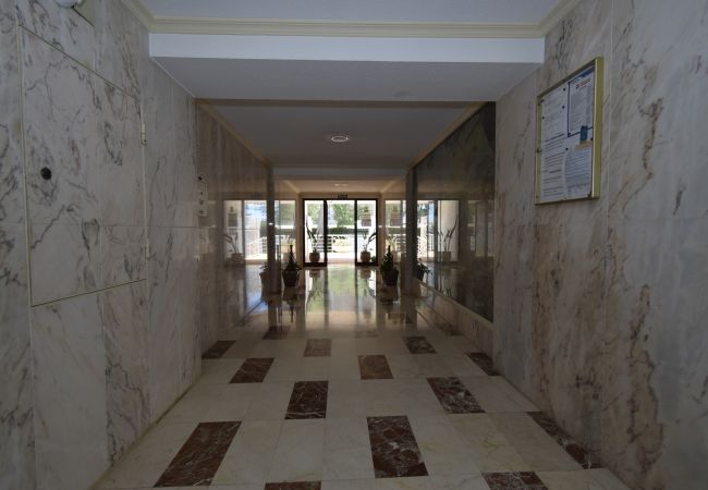 Apartamento en Benidorm - ALBATROS (1 DORMITORIO) Apartamento en Benidorm - ALBATROS (1 DORMITORIO)