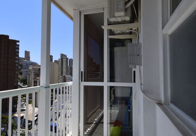 Apartamento en Benidorm - ALBATROS (1 DORMITORIO) Apartamento en Benidorm - ALBATROS (1 DORMITORIO)