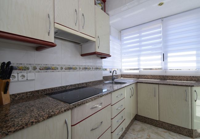 Apartamento en Benidorm - ALBATROS (1 DORMITORIO) Apartamento en Benidorm - ALBATROS (1 DORMITORIO)