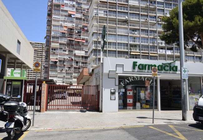 Apartamento en Benidorm - ALBATROS (1 DORMITORIO) Apartamento en Benidorm - ALBATROS (1 DORMITORIO)