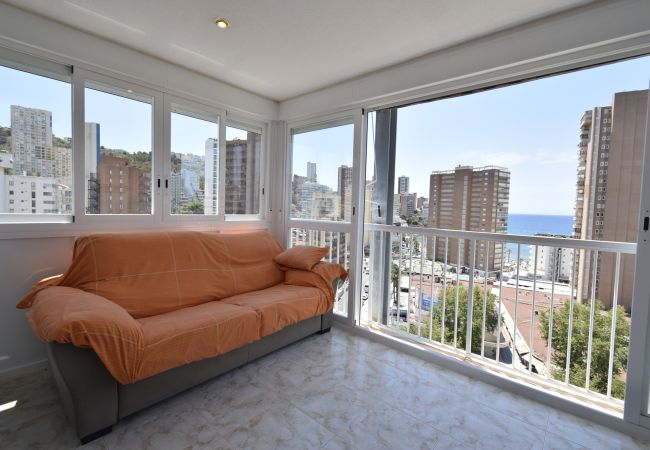 Apartamento en Benidorm - ALBATROS (1 DORMITORIO) Apartamento en Benidorm - ALBATROS (1 DORMITORIO)
