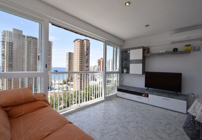 Apartamento en Benidorm - ALBATROS (1 DORMITORIO) Apartamento en Benidorm - ALBATROS (1 DORMITORIO)