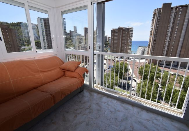 Apartamento en Benidorm - ALBATROS (1 DORMITORIO) Apartamento en Benidorm - ALBATROS (1 DORMITORIO)