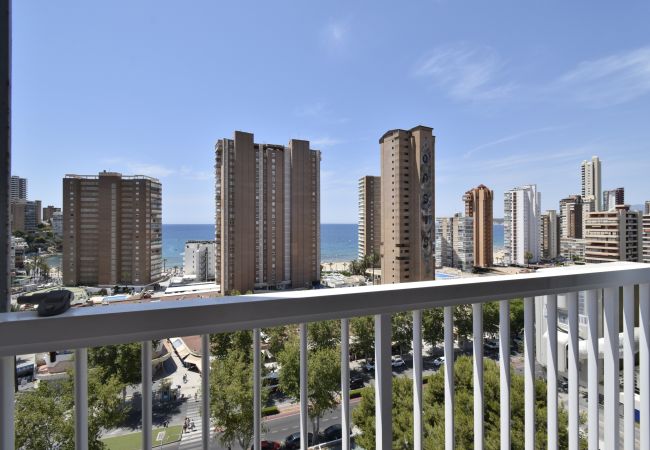 Apartamento en Benidorm - ALBATROS (1 DORMITORIO) Apartamento en Benidorm - ALBATROS (1 DORMITORIO)