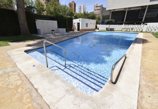 Apartamento en Benidorm - ALBATROS (1 DORMITORIO) Apartamento en Benidorm - ALBATROS (1 DORMITORIO)