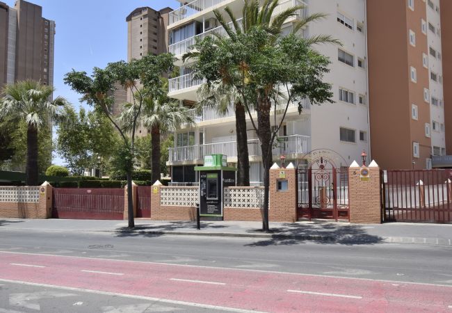 Apartamento en Benidorm - ALBATROS (1 DORMITORIO) Apartamento en Benidorm - ALBATROS (1 DORMITORIO)