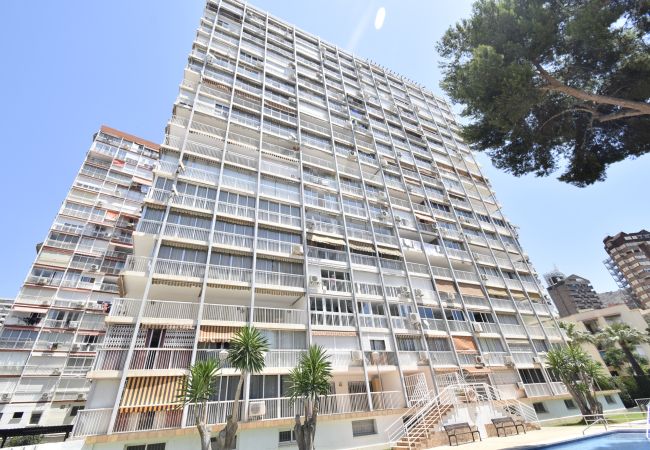 Apartamento en Benidorm - ALBATROS (1 DORMITORIO) Apartamento en Benidorm - ALBATROS (1 DORMITORIO)