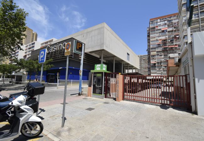 Apartamento en Benidorm - ALBATROS (1 DORMITORIO) Apartamento en Benidorm - ALBATROS (1 DORMITORIO)