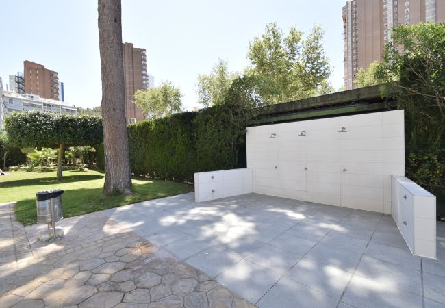 Apartamento en Benidorm - ALBATROS (1 DORMITORIO) Apartamento en Benidorm - ALBATROS (1 DORMITORIO)