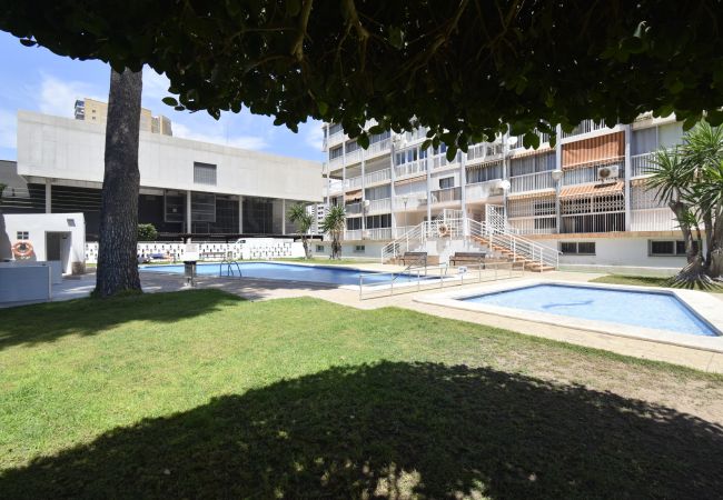 Apartamento en Benidorm - ALBATROS (1 DORMITORIO) Apartamento en Benidorm - ALBATROS (1 DORMITORIO)