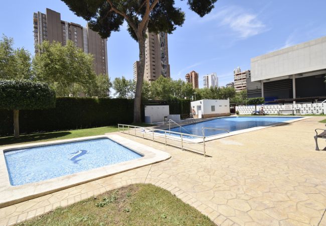 Apartamento en Benidorm - ALBATROS (1 DORMITORIO) Apartamento en Benidorm - ALBATROS (1 DORMITORIO)