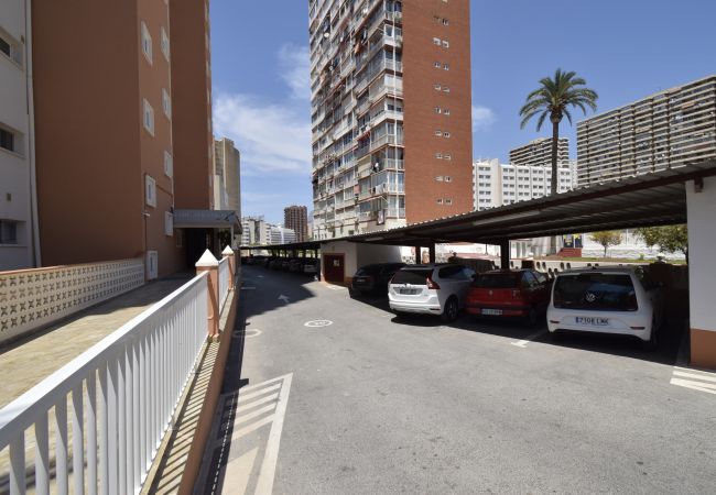 Apartamento en Benidorm - ALBATROS (1 DORMITORIO) Apartamento en Benidorm - ALBATROS (1 DORMITORIO)