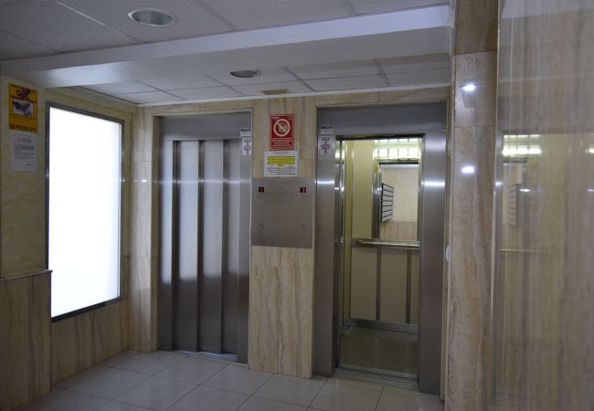 Apartamento en Benidorm - DONA (2 DORMITORIOS) Apartamento en Benidorm - DONA (2 DORMITORIOS)