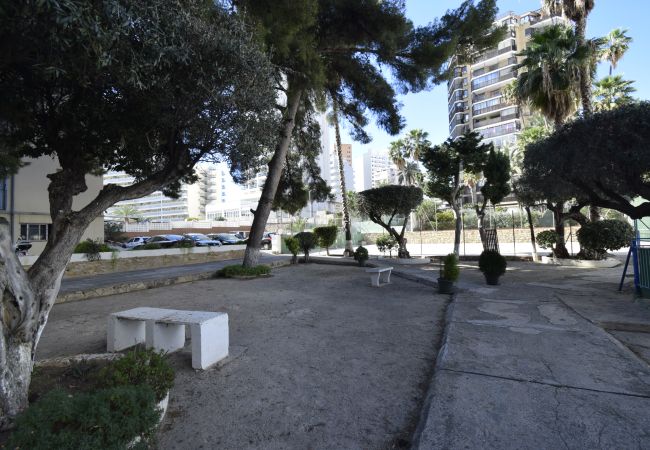 Apartamento en Benidorm - DONA (2 DORMITORIOS) Apartamento en Benidorm - DONA (2 DORMITORIOS)
