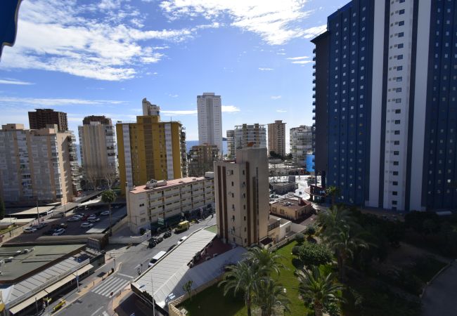 Apartamento en Benidorm - DONA (2 DORMITORIOS) Apartamento en Benidorm - DONA (2 DORMITORIOS)