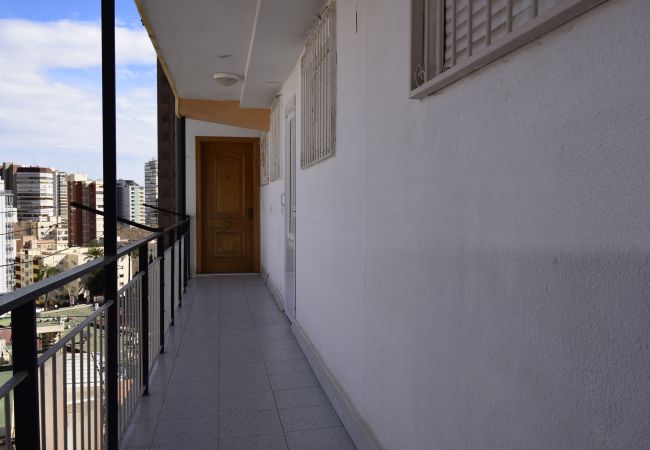 Apartamento en Benidorm - DONA (2 DORMITORIOS) Apartamento en Benidorm - DONA (2 DORMITORIOS)