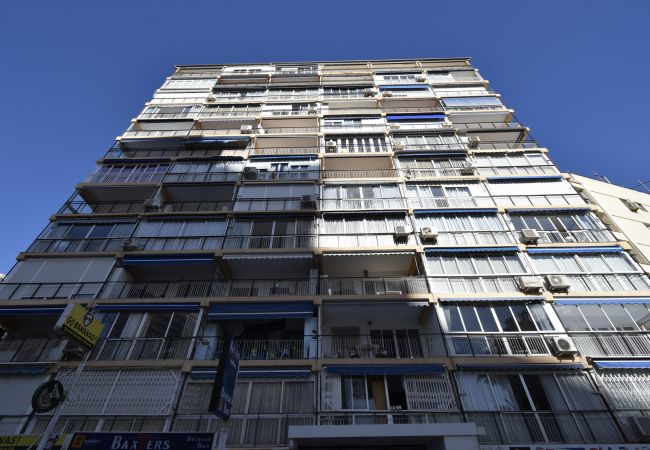 Apartamento en Benidorm - DONA (2 DORMITORIOS) Apartamento en Benidorm - DONA (2 DORMITORIOS)