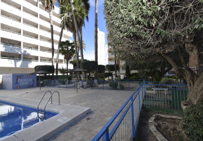 Apartamento en Benidorm - DONA (2 DORMITORIOS) Apartamento en Benidorm - DONA (2 DORMITORIOS)