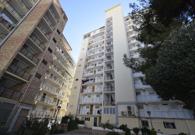 Apartamento en Benidorm - DONA (2 DORMITORIOS) Apartamento en Benidorm - DONA (2 DORMITORIOS)