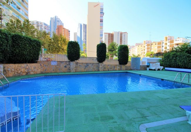 Apartamento en Benidorm - CADIZ (1 DORMITORIO) Apartamento en Benidorm - CADIZ (1 DORMITORIO)