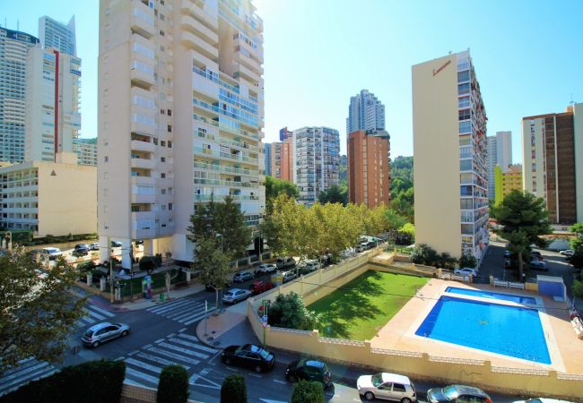 Apartamento en Benidorm - CADIZ (1 DORMITORIO) Apartamento en Benidorm - CADIZ (1 DORMITORIO)