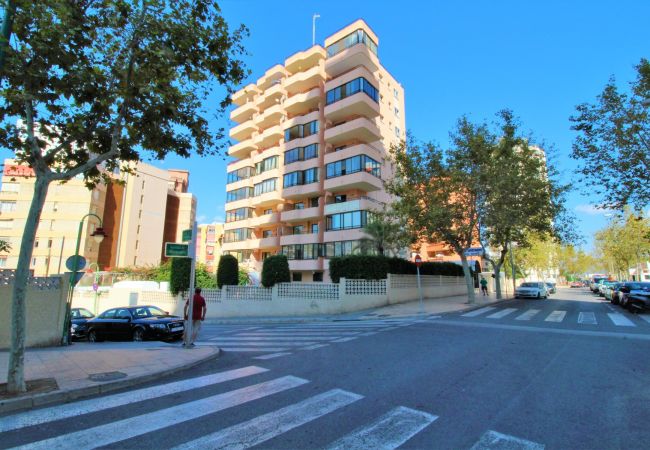 Apartamento en Benidorm - CADIZ (1 DORMITORIO) Apartamento en Benidorm - CADIZ (1 DORMITORIO)