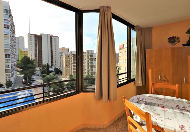 Apartamento en Benidorm - CADIZ (1 DORMITORIO) Apartamento en Benidorm - CADIZ (1 DORMITORIO)