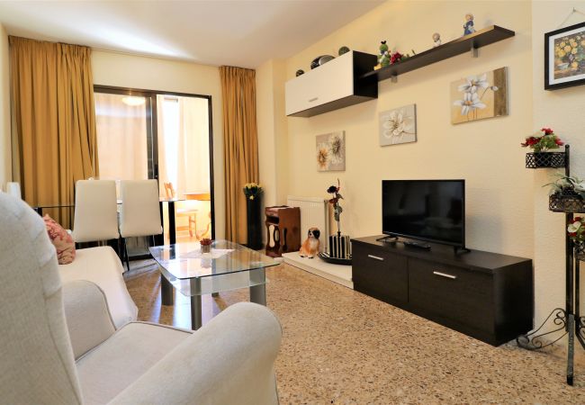 Apartamento en Benidorm - CADIZ (1 DORMITORIO) Apartamento en Benidorm - CADIZ (1 DORMITORIO)