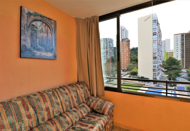 Apartamento en Benidorm - CADIZ (1 DORMITORIO) Apartamento en Benidorm - CADIZ (1 DORMITORIO)