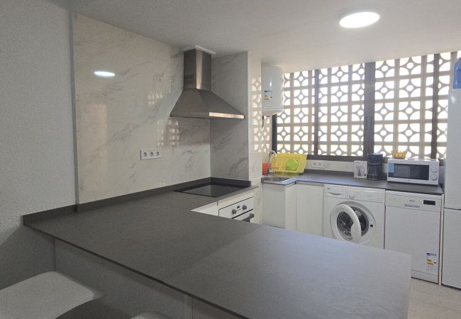 Apartamento en Benidorm - MARISCAL 3  2I (1  DORMITORIO) Apartamento en Benidorm - MARISCAL 3  2I (1  DORMITORIO)